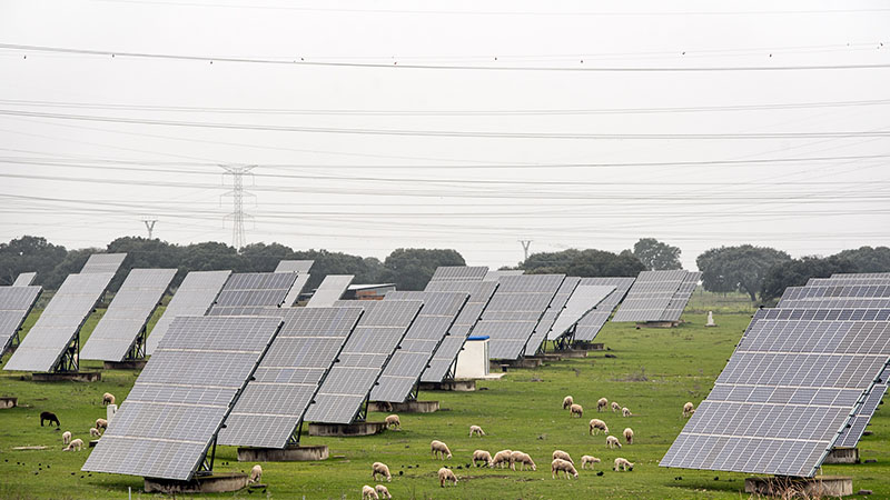 cambio climático en el sector agrícola